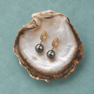 Killa Earrings displayed on a shell, featuring stunning tahitian pearl jewellery, a must-have nz jewellery piece.